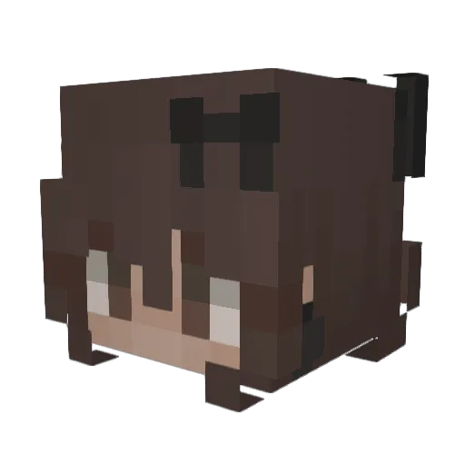Santa1232005 Minecraft avatar head, 3D render
