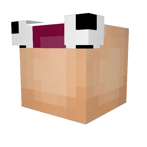 SantaFetrain Minecraft avatar head, 3D render