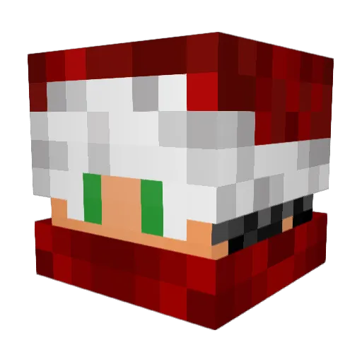 SantaKlaus3 Minecraft avatar head, 3D render