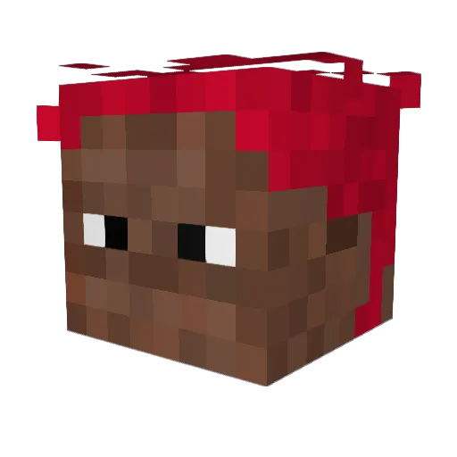 Santanna_play Minecraft avatar head, 3D render