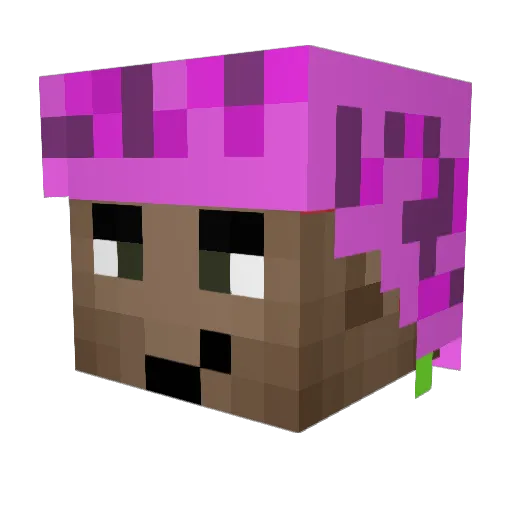 Santi5125 Minecraft avatar head, 3D render