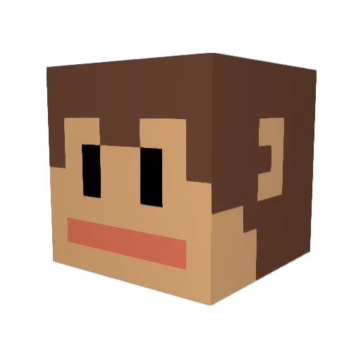 SantiElFer1407 Minecraft avatar head, 3D render