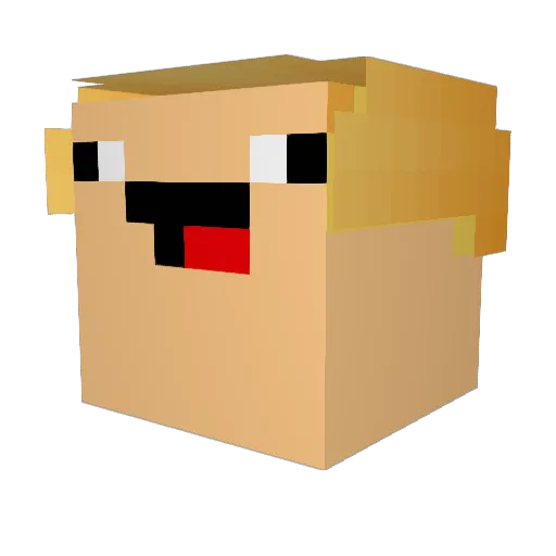 Santiago2222 Minecraft avatar head, 3D render