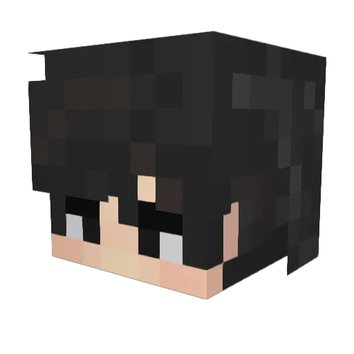 Santiarbeca Minecraft avatar head, 3D render