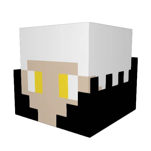 Santigr5585 Minecraft avatar head, 3D render