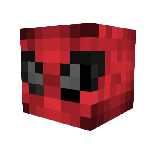 Santiiago_ch Minecraft avatar head, 3D render