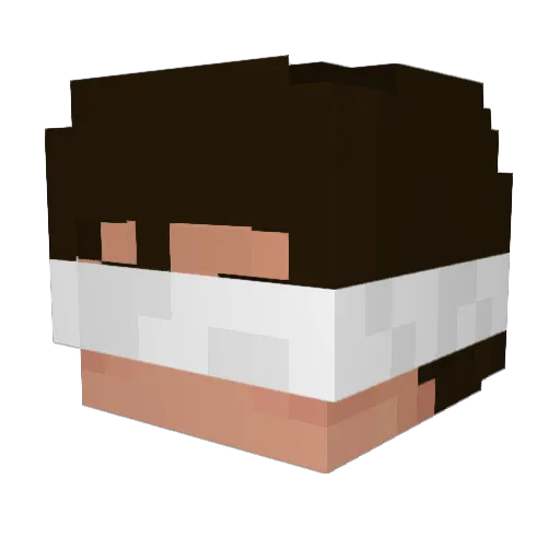 Santinator764 Minecraft avatar head, 3D render