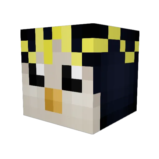 Santium20 Minecraft avatar head, 3D render