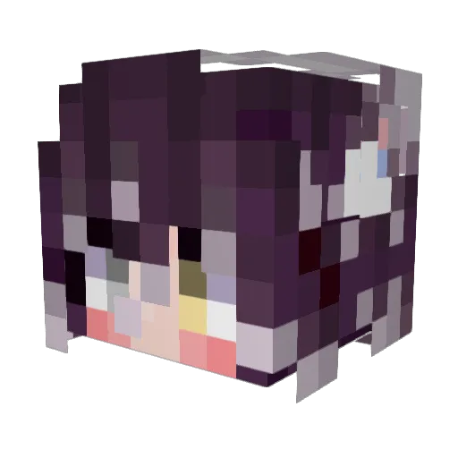 Santko Minecraft avatar head, 3D render