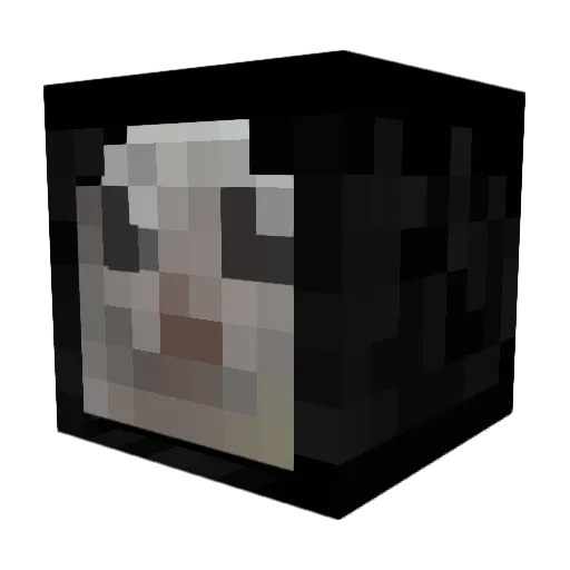 SantoneSgravato Minecraft avatar head, 3D render