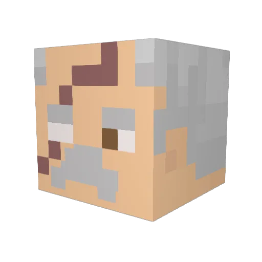 Santos100 Minecraft avatar head, 3D render