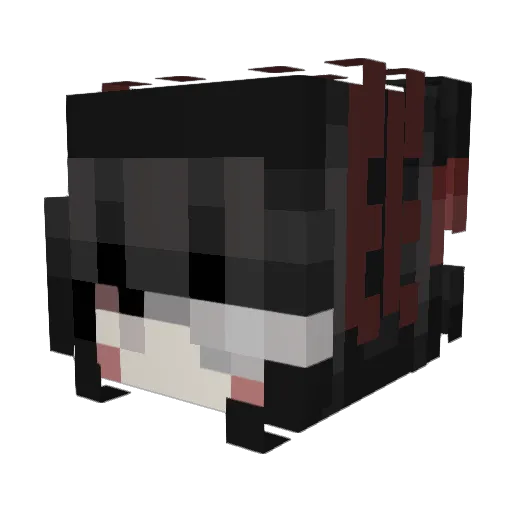 Santriix Minecraft avatar head, 3D render