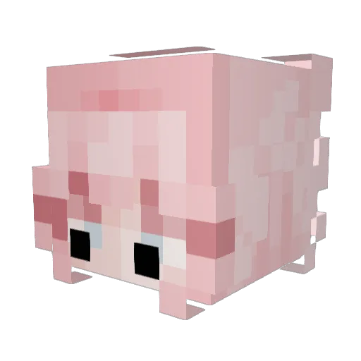 Santsaa Minecraft avatar head, 3D render