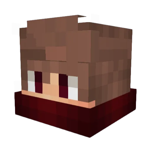 Santsu06 Minecraft avatar head, 3D render