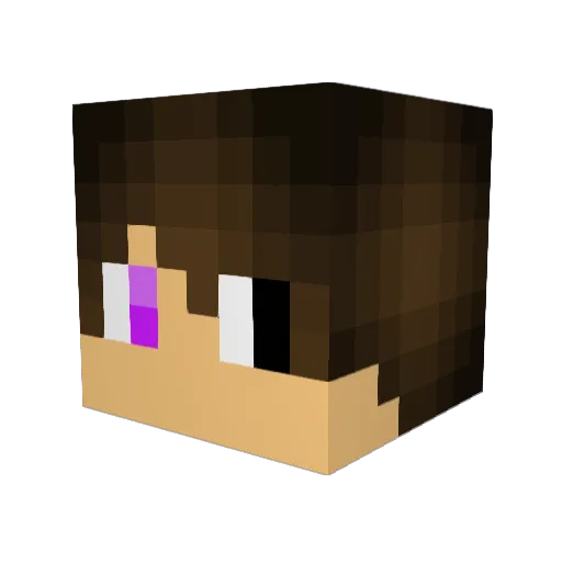 Santt_go__ Minecraft avatar head, 3D render