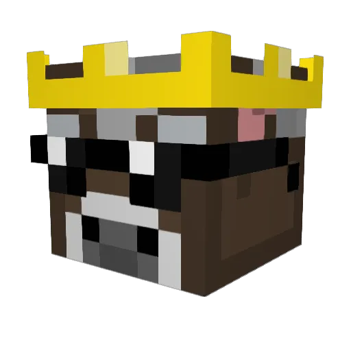 SanttuPlayer_ Minecraft avatar head, 3D render