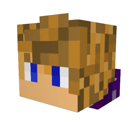 Santu618 Minecraft avatar head, 3D render