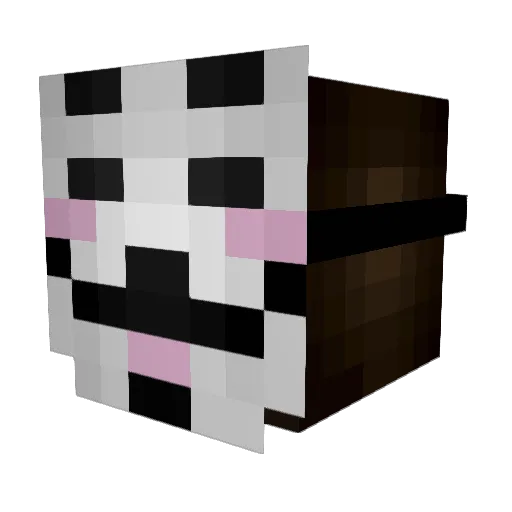 SantyGamer_YT Minecraft avatar head, 3D render