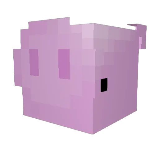Sany4102 Minecraft avatar head, 3D render