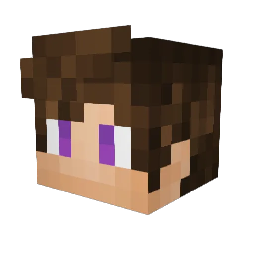 Sany808 Minecraft avatar head, 3D render