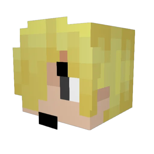 Sanyek Minecraft avatar head, 3D render