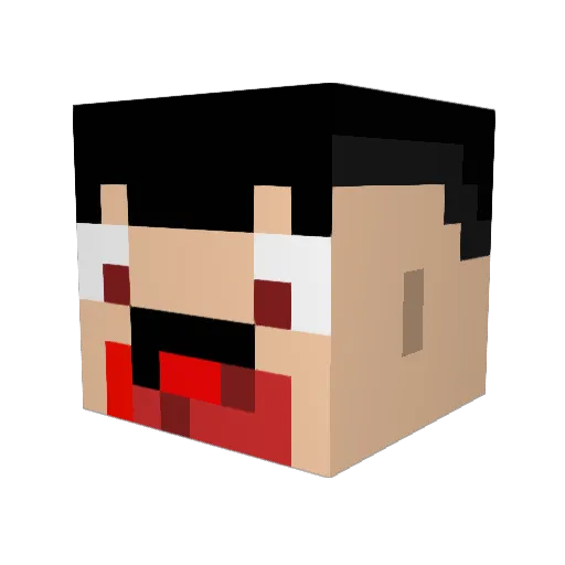 Sanyo717 Minecraft avatar head, 3D render