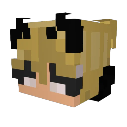Sanzcraft Minecraft avatar head, 3D render