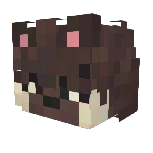 SanzyFluf Minecraft avatar head, 3D render