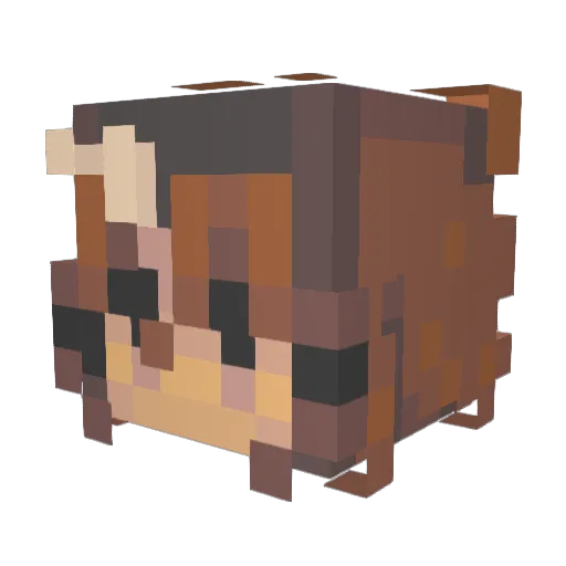 Saodl Minecraft avatar head, 3D render