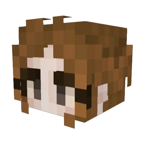 SaorlaStorm Minecraft avatar head, 3D render