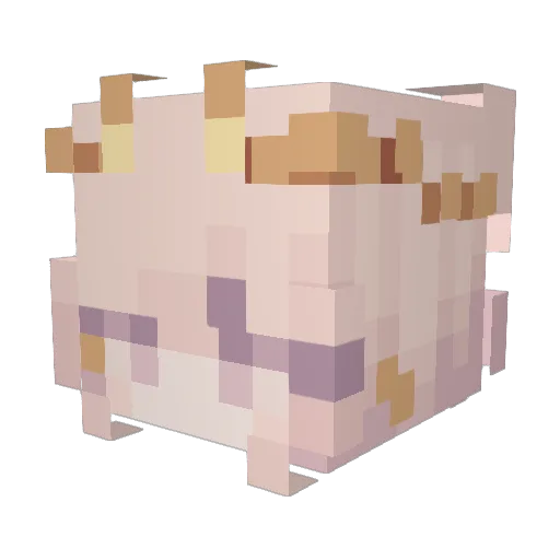 Saoyo Minecraft avatar head, 3D render