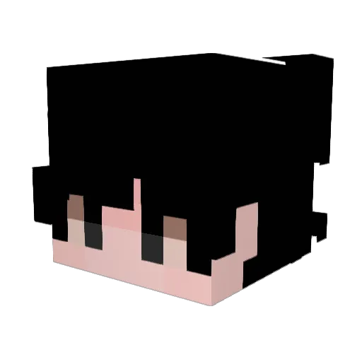 Sap2306 Minecraft avatar head, 3D render