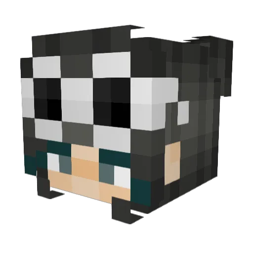 SapDaddy69 Minecraft avatar head, 3D render