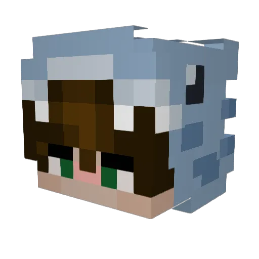 SapSapSap666 Minecraft avatar head, 3D render