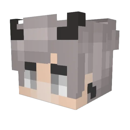 SapSsk Minecraft avatar head, 3D render