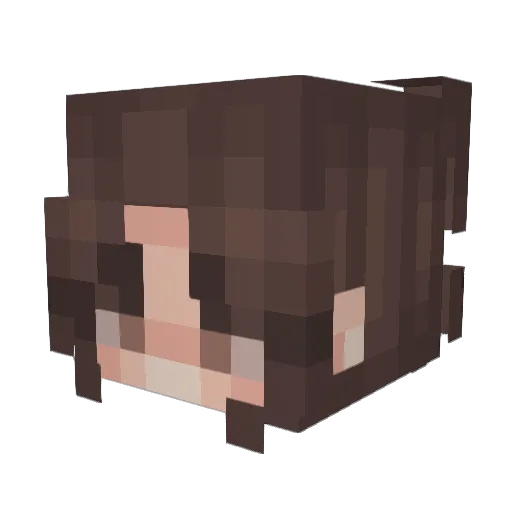 Sapatona_ Minecraft avatar head, 3D render