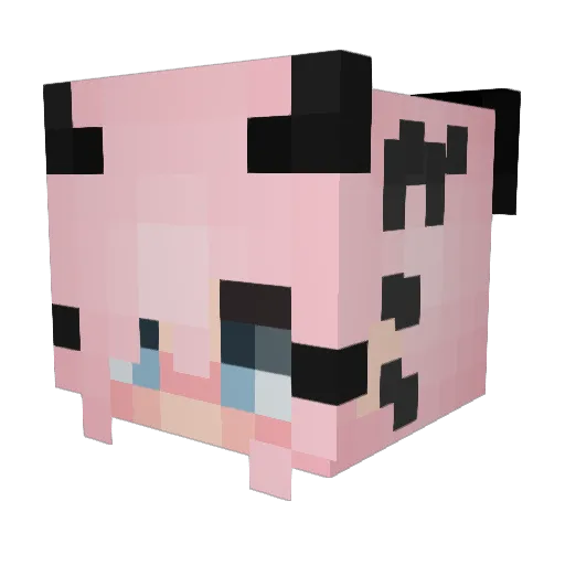 Saphaxus Minecraft avatar head, 3D render