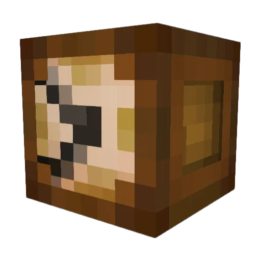 Saphira041 Minecraft avatar head, 3D render