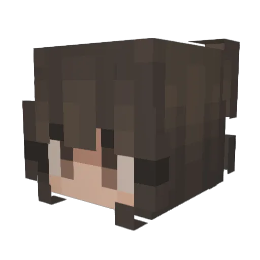 Saphira11 Minecraft avatar head, 3D render