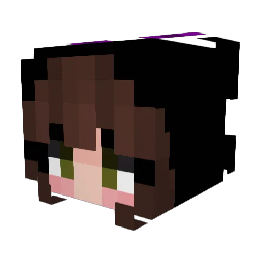 SaphiraDraco Minecraft avatar head, 3D render