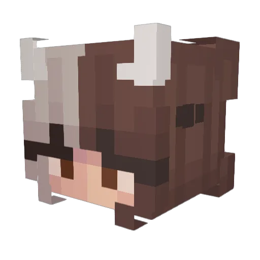Saphy_12 Minecraft avatar head, 3D render