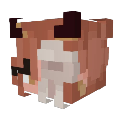 Saphyrein Minecraft avatar head, 3D render