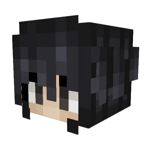 Sapien234 Minecraft avatar head, 3D render