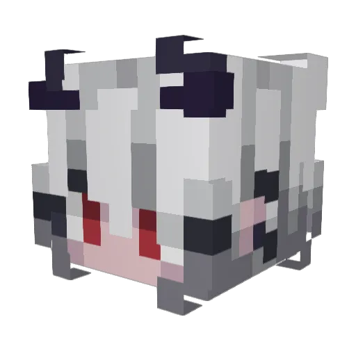 Sapierak Minecraft avatar head, 3D render