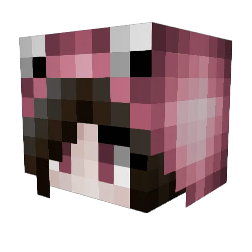 Sapitah Minecraft avatar head, 3D render