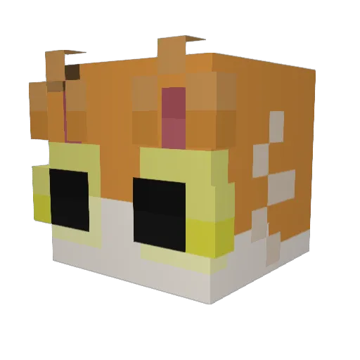 Sapje0 Minecraft avatar head, 3D render
