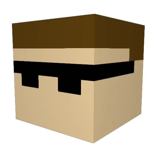 SapnapFan24 Minecraft avatar head, 3D render