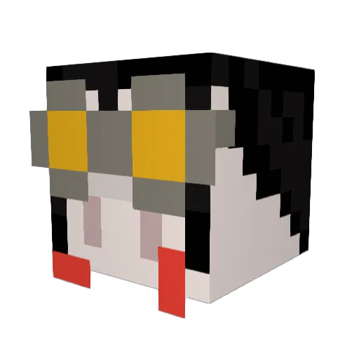 Sapo009 Minecraft avatar head, 3D render