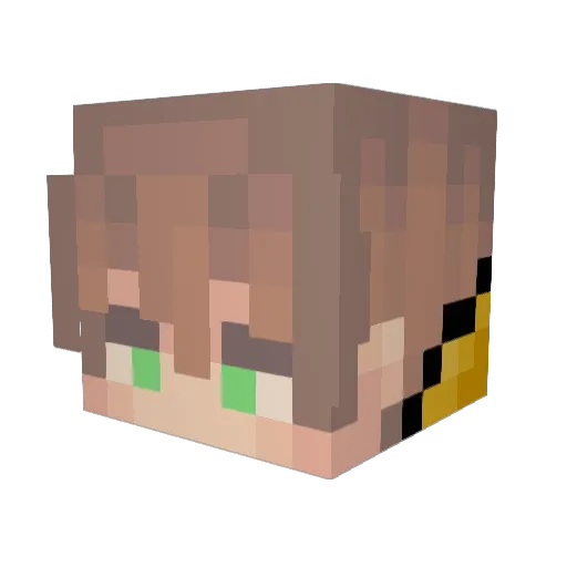 SapoSoldier Minecraft avatar head, 3D render