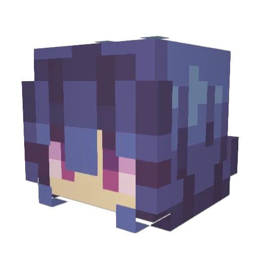 Sapons Minecraft avatar head, 3D render